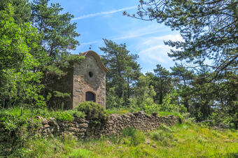 Ruta-Joc dels Bolets. Sant Boi de Lluçanès.