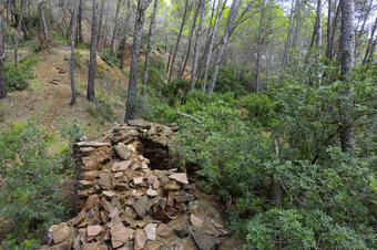 Rutes a La Palma de Cervelló