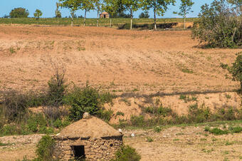 Ruta de Sant Benet. Navarcles.