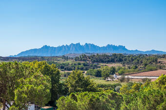 Ruta de Sant Benet. Navarcles.