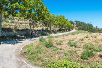 Ruta de Sant Benet. Navarcles.