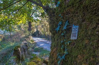 Ruta-Joc del Camí Ral. L'Esquirol.