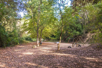 Ruta-Joc del Vi i el Cava. Sant Esteve Sesrovires