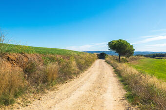 Ruta-Joc del Vi i el Cava. Sant Esteve Sesrovires