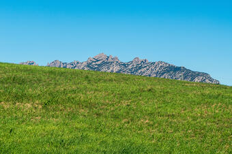 Ruta-Joc del Vi i el Cava. Sant Esteve Sesrovires