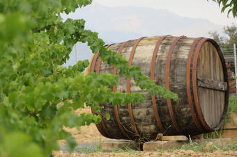 Celler Can Casals. Sant Esteve Sesrovires