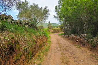 RUTA PETITES PASSES AMB HISTÒRIA. CALLÚS