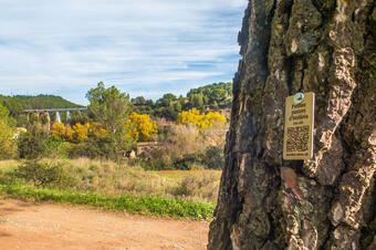 Ruta Petites Passes d'Història. Callús.