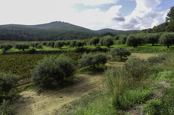 Rutes a Sant Martí Sarroca