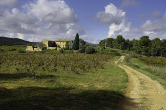 Rutes a Sant Martí Sarroca