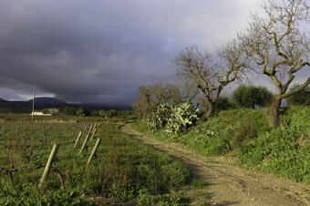 Rutes Sant Martí Sarroca