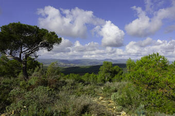 Rutes a Sant Martí Sarroca