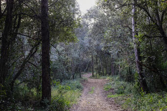 Rutes per Medinyà