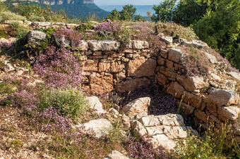 Ruta Literària "Els Sots Feréstecs". Figaró-Montmany.