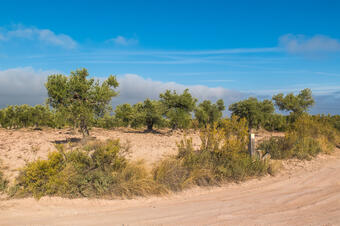 Ruta 2 - A Montmaneu per la vall la Dona. La Granja d'Escarp