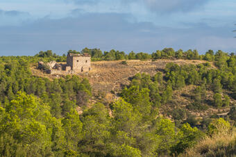 RUTA 2 A MONTMANEU PER LA VALL LA DONA. LA GRANJA D'ESCARP
