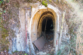RUTA DE LA VINYA I ELS XAMPINYONS. SANT CEBRIÀ DE VALLALTA