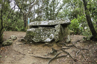 Santa Maria de Martorelles
