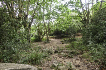 Santa Maria de Martorelles