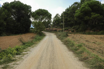 Sant LLorenç Savall