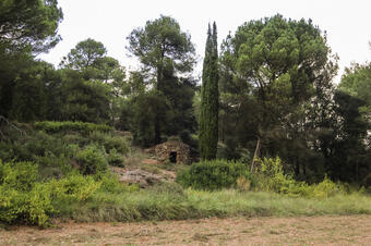 Sant LLorenç Savall