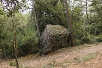 Sant LLorenç Savall