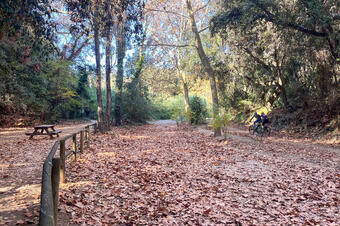 Ruta dels Ocells al Parc de la Llorita. Llavaneres