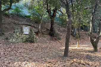 Ruta dels Ocells al Parc de la Llorita. Llavaneres