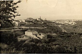 Ruta de les Oliveres Centenàries. Ullastrell.