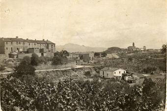 Ruta de les Oliveres Centenàries. Ullastrell.