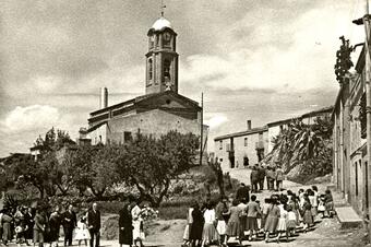 Ruta de les Oliveres Centenàries. Ullastrell.