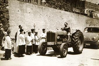 Ruta de les Oliveres Centenàries. Ullastrell.