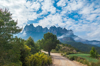Ruta Camí Vell de l'Oliver. Marganell