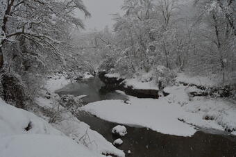 Aiguabarreig Bastareny-Llobregat