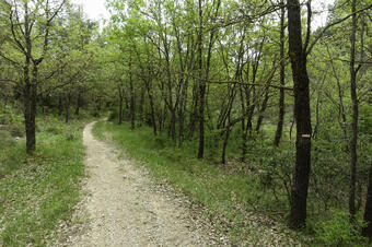 Rutes de natura a Calders