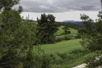 Rutes de Natura a Calders