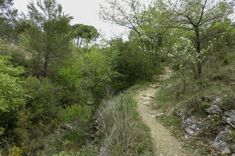 Rutes de natura a Calders
