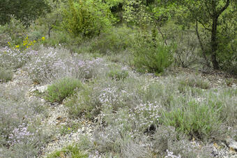 Rutes natura Calders