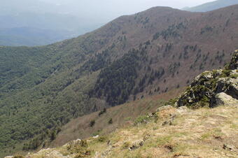 Rutes El Brull