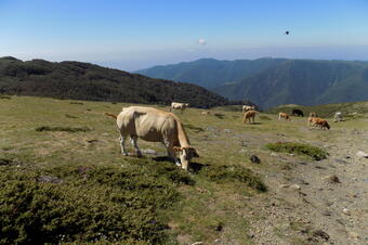 Rutes El Brull
