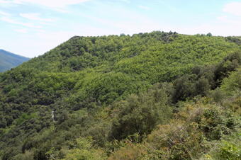 Rutes El Brull