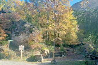 Roureda d'Aulàs. Tremp.