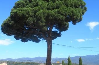 Vilalba Sasserra