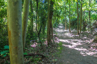 Ruta-Joc de les Fetilleres. Gualba.