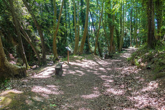 Ruta-Joc de les Fetilleres. Gualba.