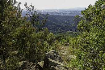 Rutes a St. Maria de Martorelles
