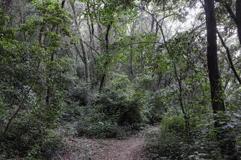 Rutes a St. Maria de Martorelles