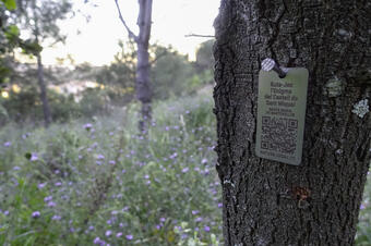 Rutes a St. Maria de Martorelles