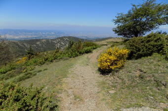 Rutes El Brull