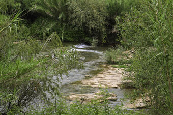 SFB3. Baixada als Tres Salts del Llobregat. Sant Fruitós de Bages. Sant Fruitós de Bages